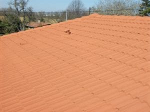Entreprise nettoyage de toiture Toulouse